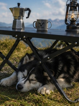 Kampeer tafel . Handig opvouwbare camping tafel
